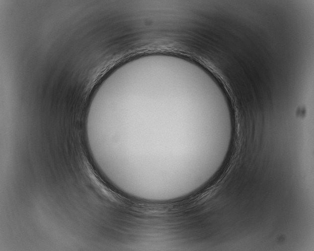 X0000115630493200911241650