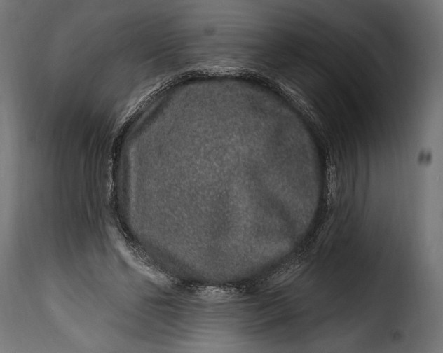 X0000115630494200911241650