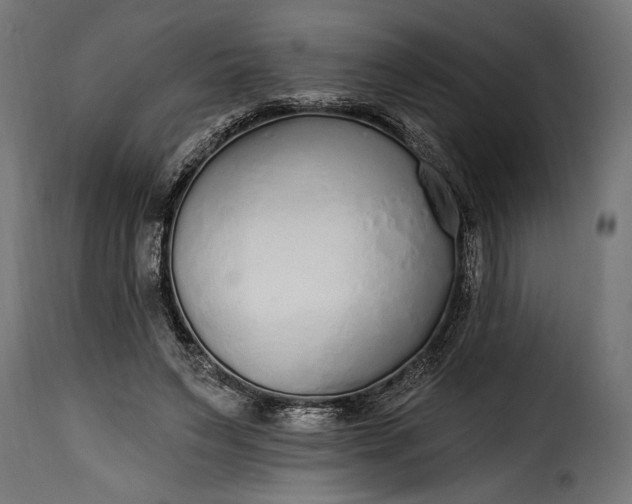 X0000115630495200911241650