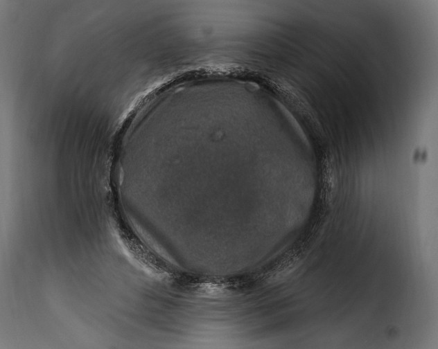 X0000115630496200911241650