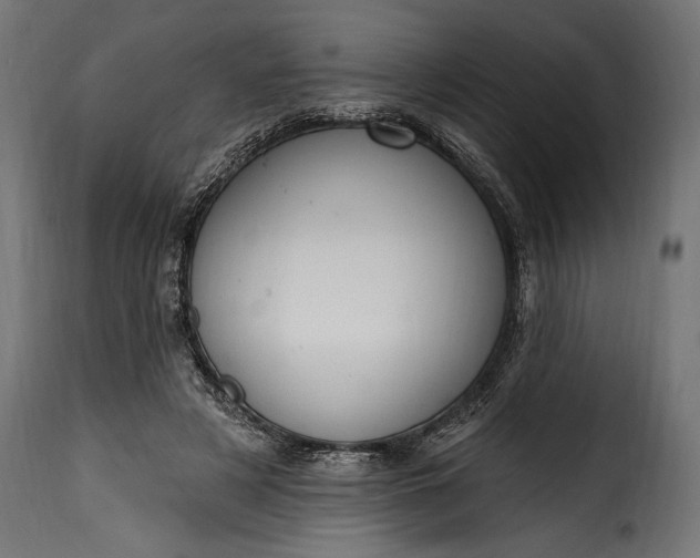 X0000115630497200911241650