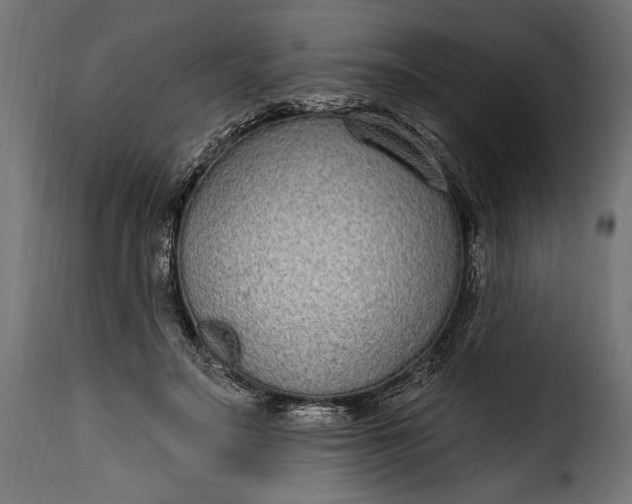 X0000115630499200911241650