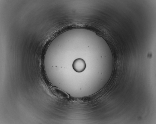 X0000115630500200911241650