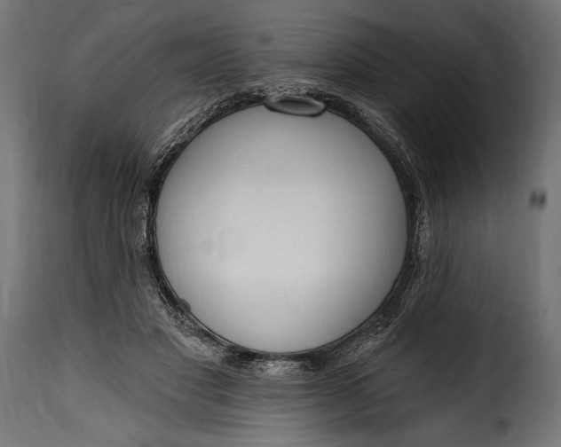 X0000115630501200911241650