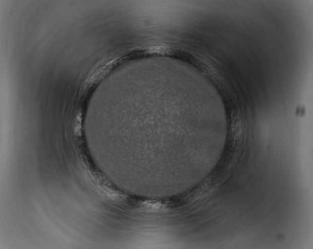 X0000115630502200911241650