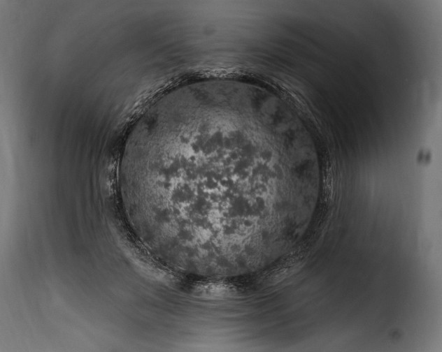 X0000115630503200911241650