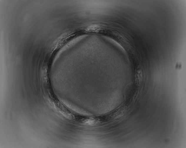 X0000115630504200911241650