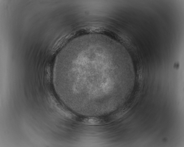 X0000115630506200911241650