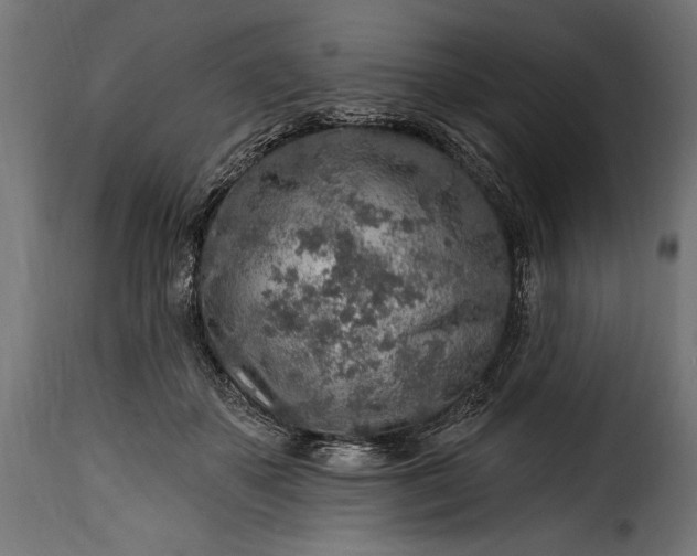 X0000115630507200911241650