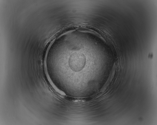 X0000115630508200911241650