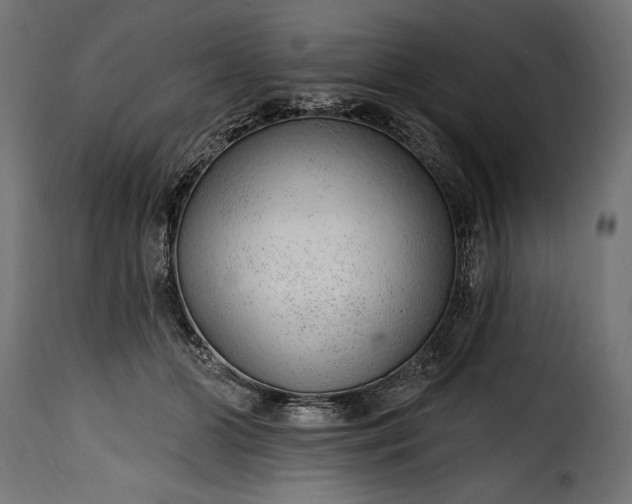 X0000115630510200911241650