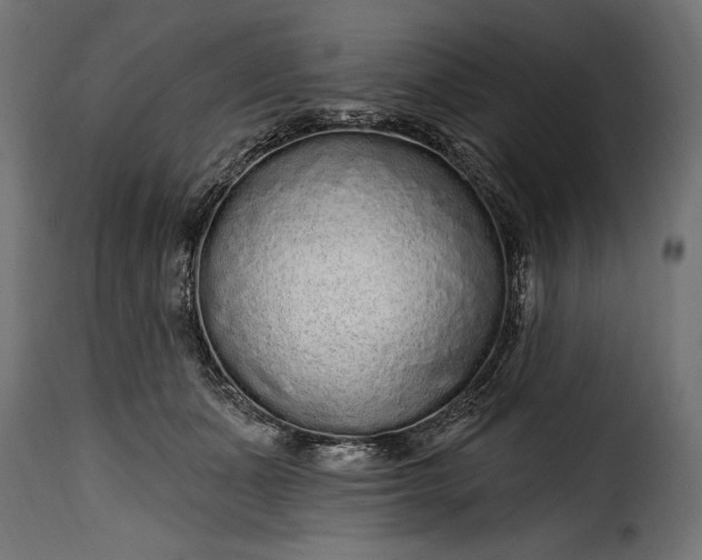 X0000115630511200911241650