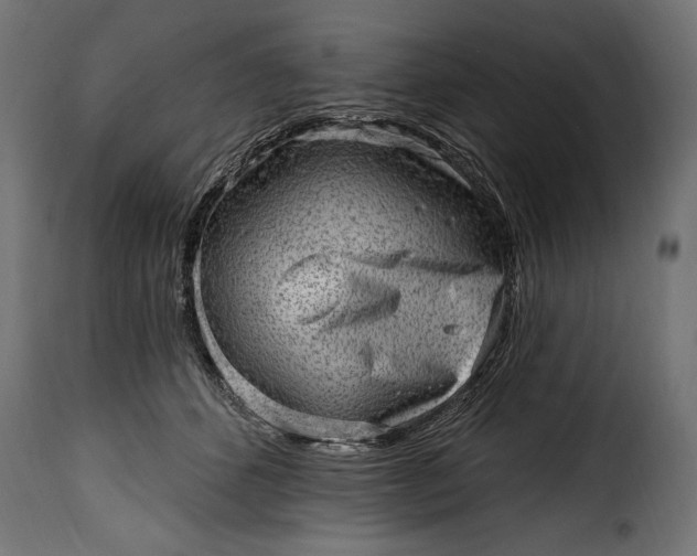 X0000115630512200911241650