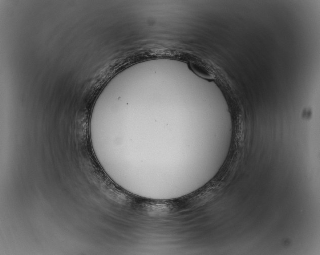 X0000115630513200911241650