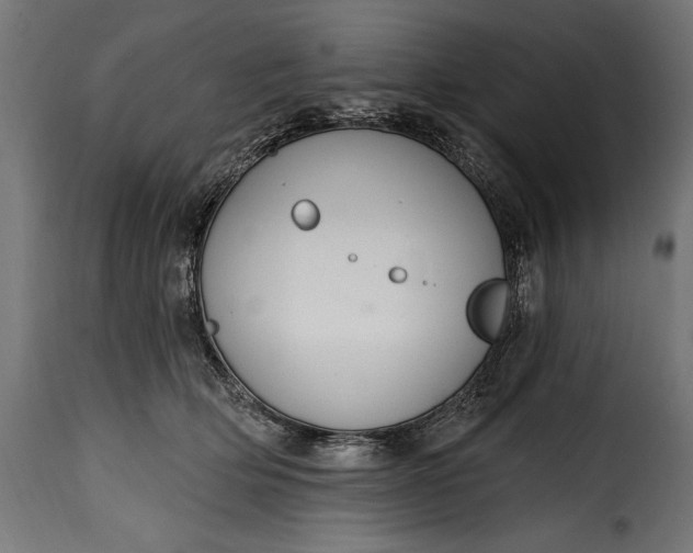 X0000115630514200911241650