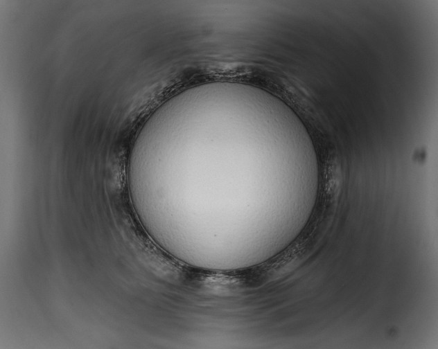 X0000115630515200911241650