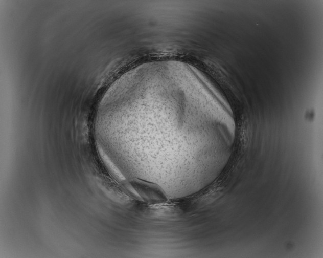 X0000115630516200911241650