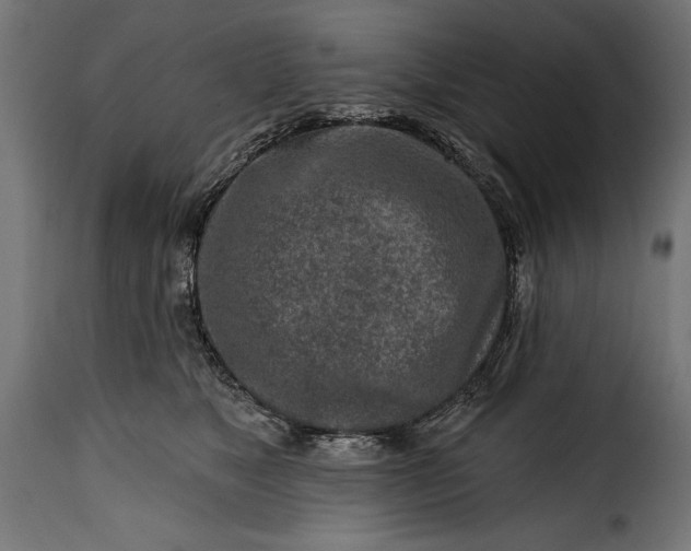 X0000115630517200911241650