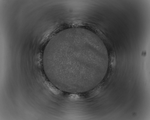 X0000115630519200911241650