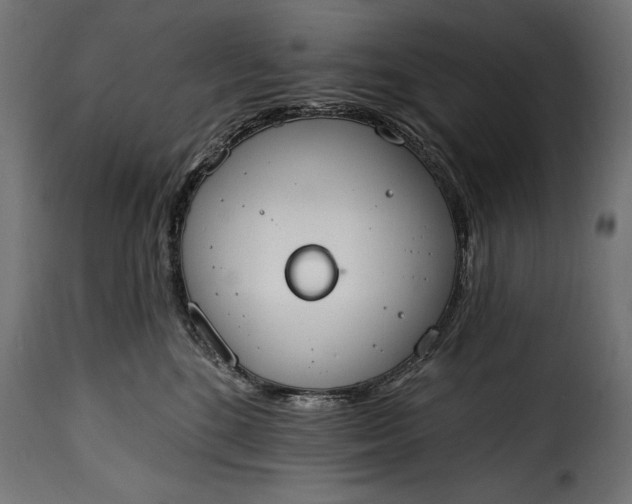 X0000115630520200911241650