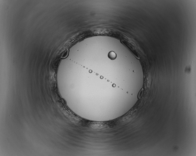 X0000115630521200911241650