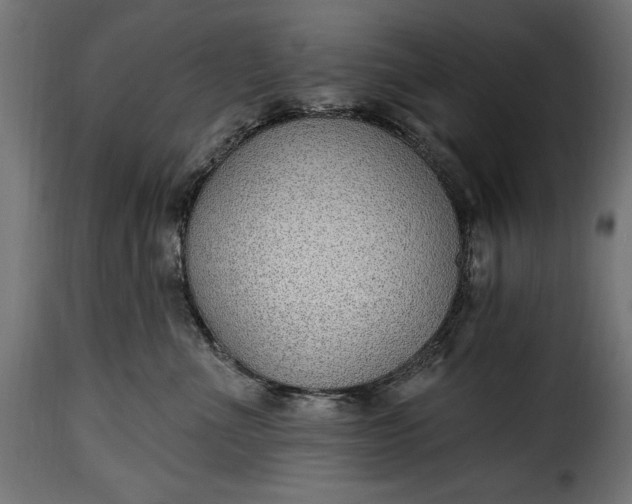 X0000115630523200911241650