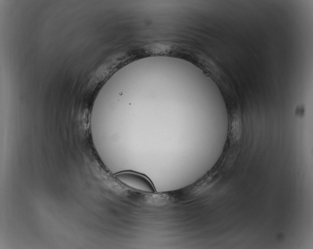 X0000115630525200911241650