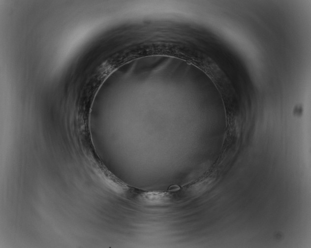 X0000115630526200911241650