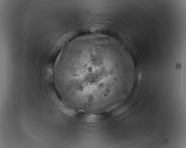 X0000115630527200911241650