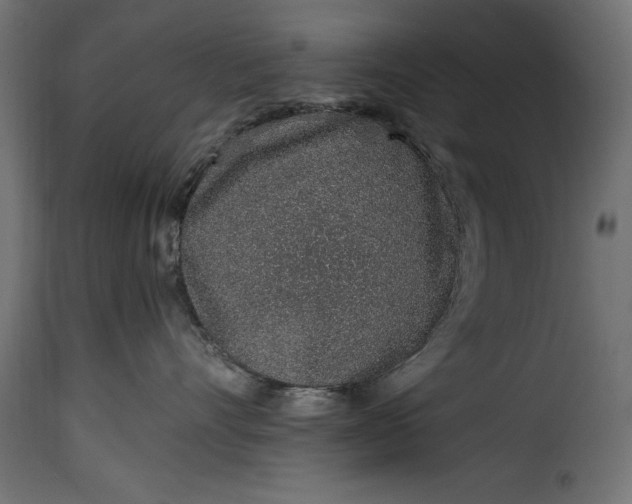 X0000115630528200911241650