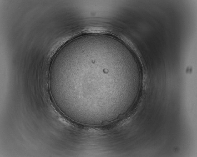 X0000115630529200911241649