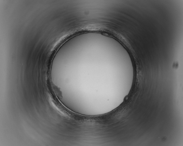 X0000115630530200911241649