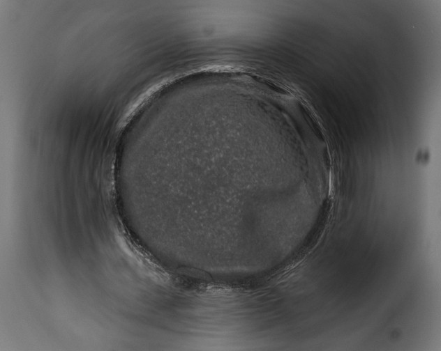 X0000115630531200911241649