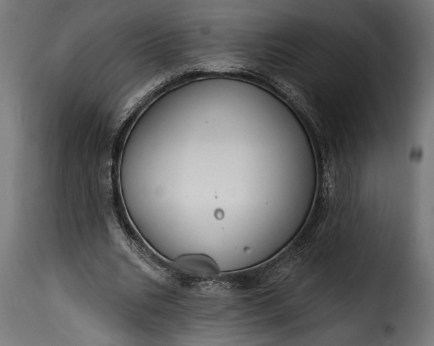 X0000115630535200911241649