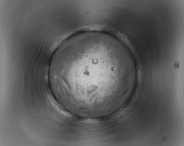 X0000115630537200911241649