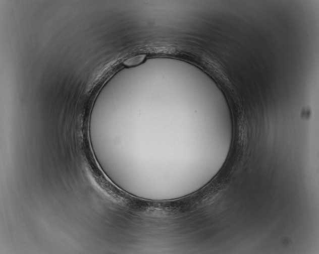 X0000115630538200911241649