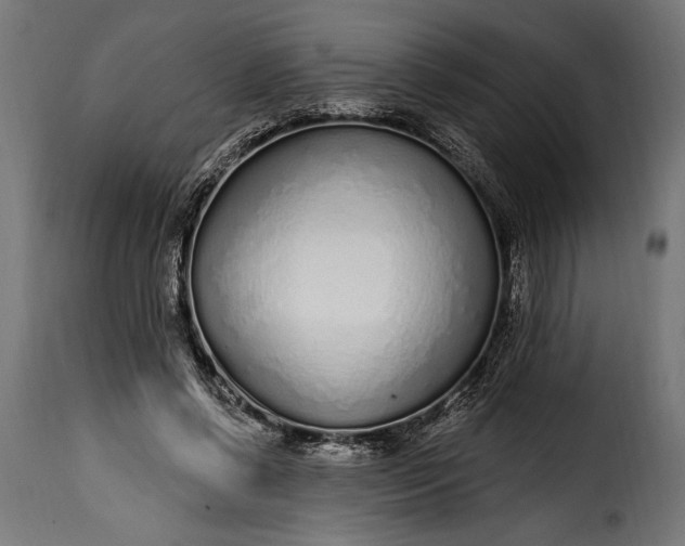 X0000115630542200911241649