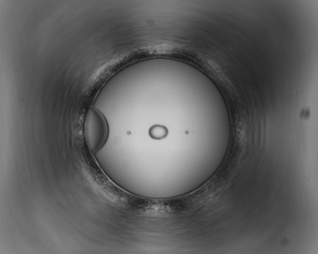 X0000115630543200911241649