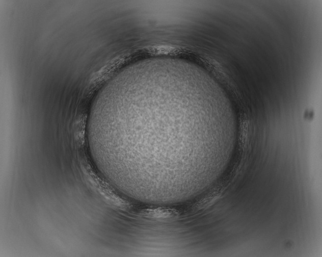 X0000115630545200911241649