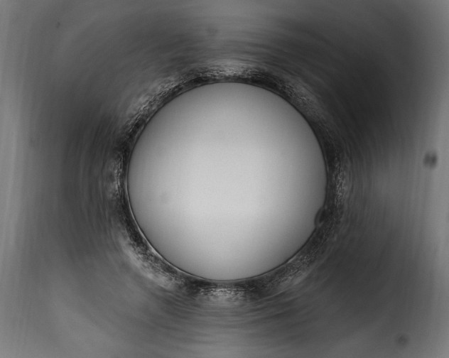 X0000115630546200911241649