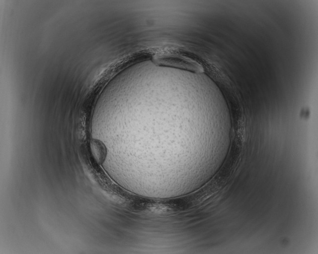 X0000115630547200911241649