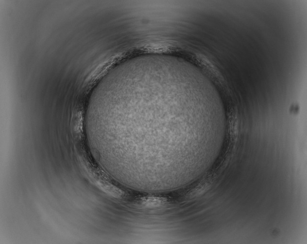 X0000115630549200911241649