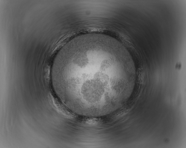 X0000115630550200911241649