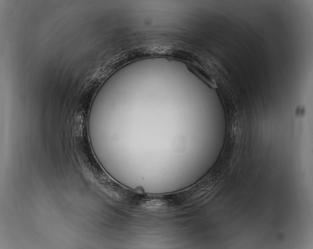 X0000115630551200911241649