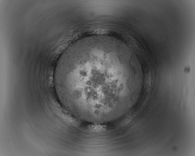 X0000115630553200911241649