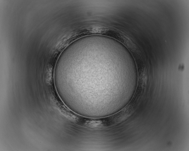 X0000115630554200911241649