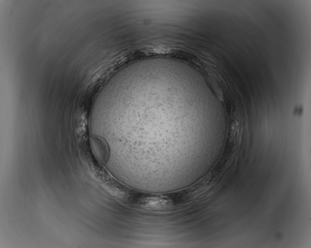 X0000115630555200911241649