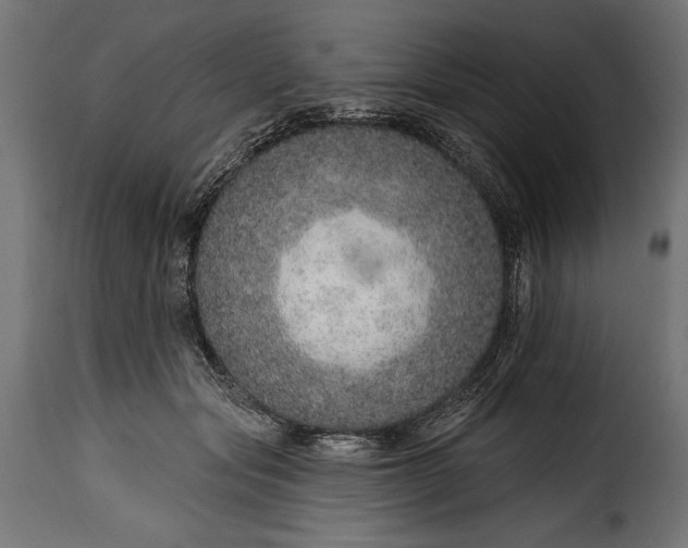 X0000115630557200911241649