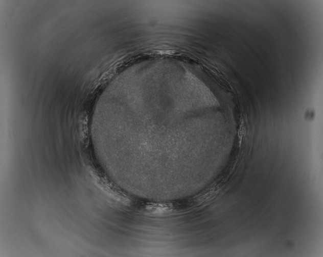 X0000115630559200911241649