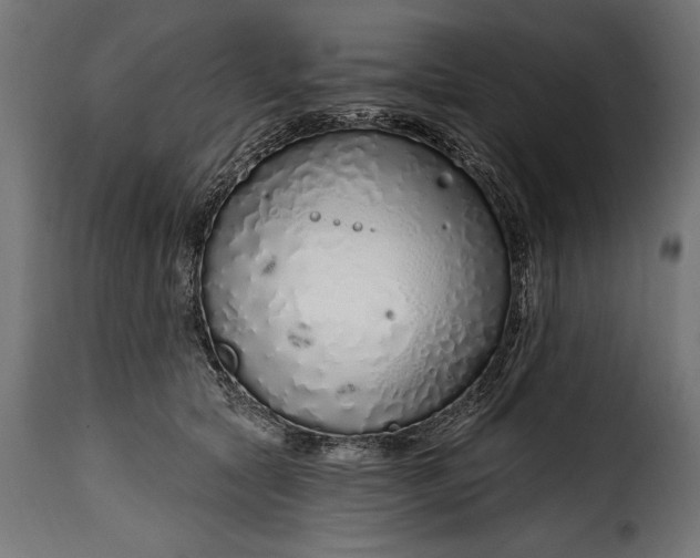 X0000115630561200911241649